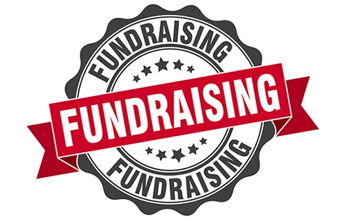 Fundraising icon